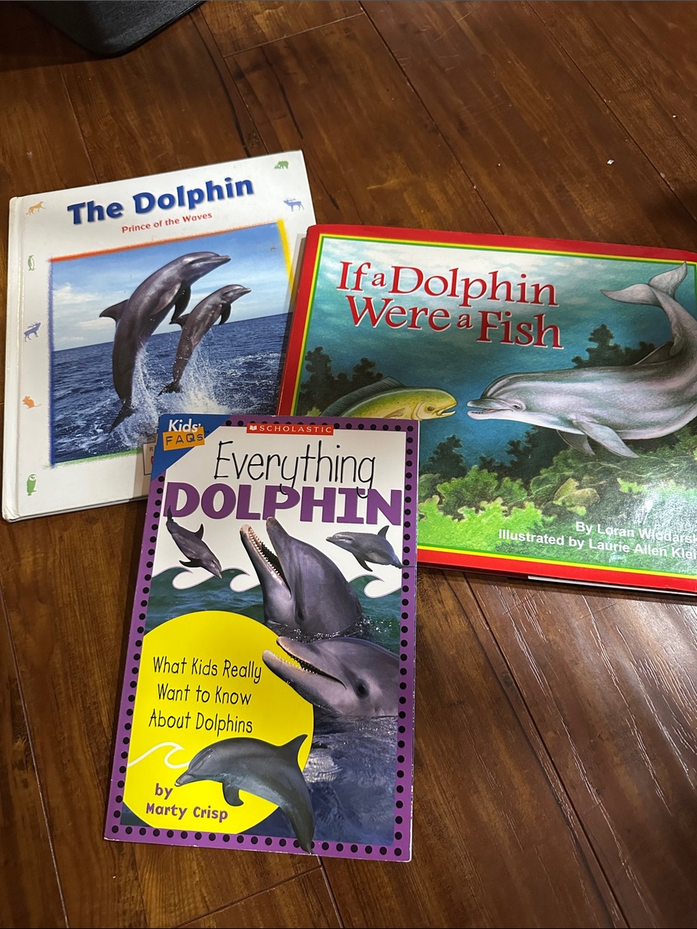 Dolphin Book Lot 3 Kids Ocean Marine Life Scholastic If a Dolphin Were a Fish